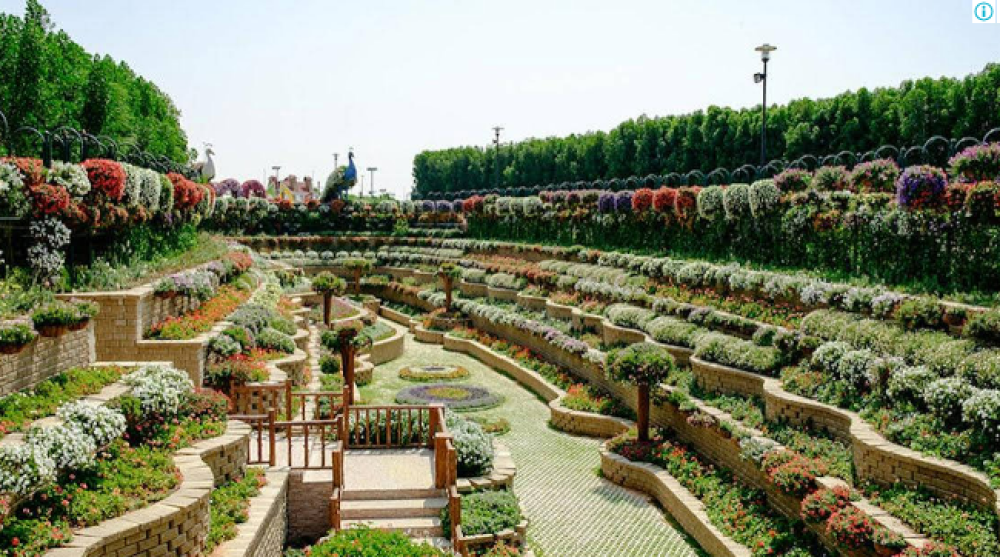 Uganda signs deal with UAE to build third international airport