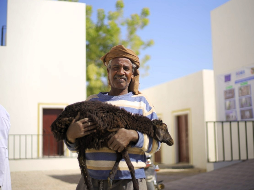 UNDP : Boosting veterinary excellence in Tarim, Yemen