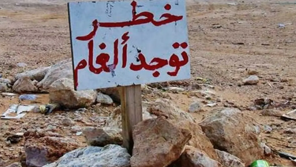 Yemen: MASAM Uncovers Extensive Houthi Minefield in Hodeidah