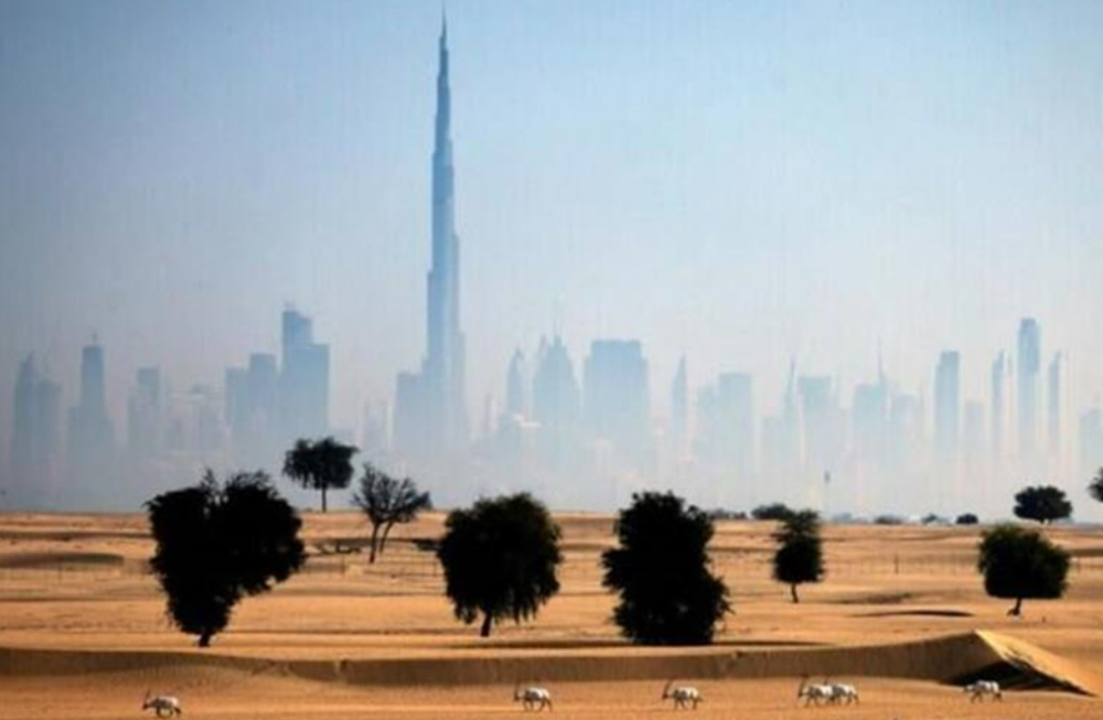 UAE hits highest May temperature on record at 50.4C