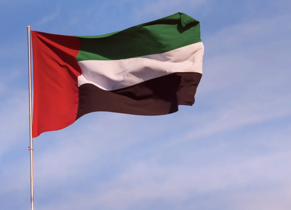 UAE stands with India, condoles over plane crash victims
