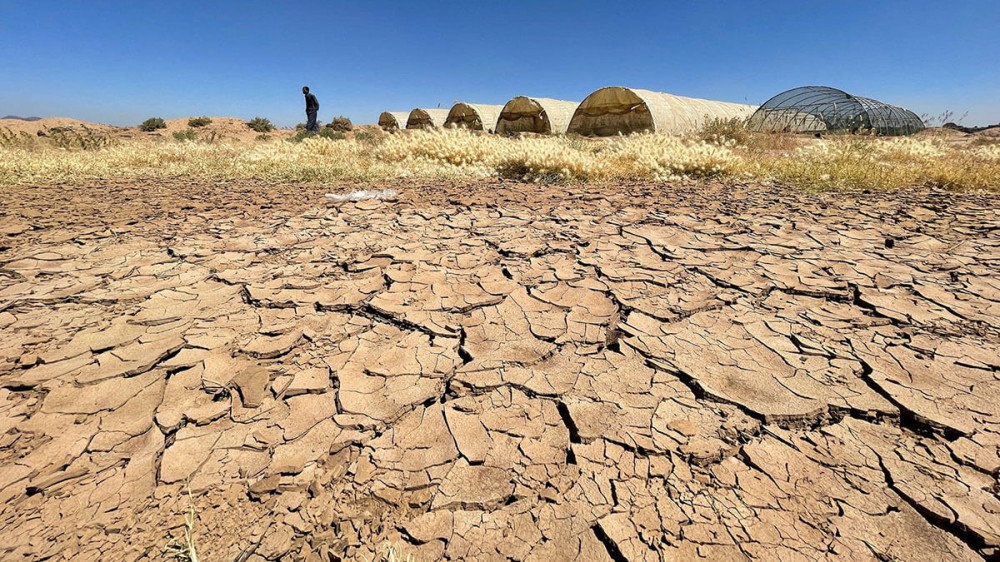 UN Warns of Desertification Threat to Yemen’s Agricultural Lands