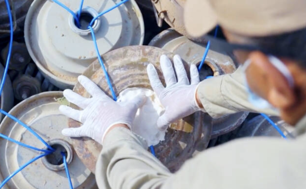 MASAM project clears 1,103 mines in Yemen
