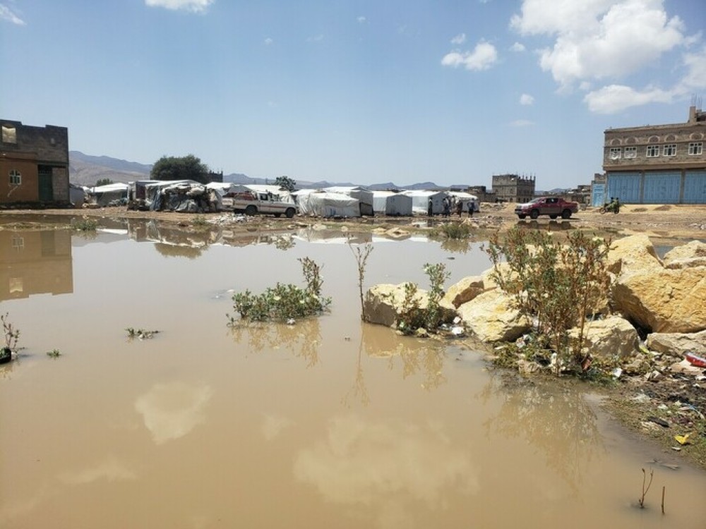 Over 8,000 Displaced Families Affected by Torrential Rains and Floods in Marib; Shabwa Faces Escalating Weather Crisis