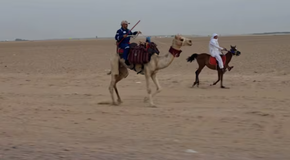 Desert Trekker Completes 3,000km Camel Journey from Yemen to UAE
