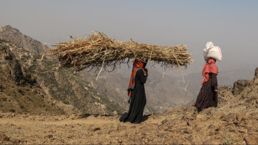 World Bank Report Warns Yemen Is on the Brink of Becoming the Poorest Country Globally