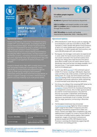 Houthis’ ‘Iranian-style management’ of coronavirus pandemic endangers millions