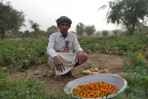 U.N. secretary general condemns deadly air strikes in Yemen