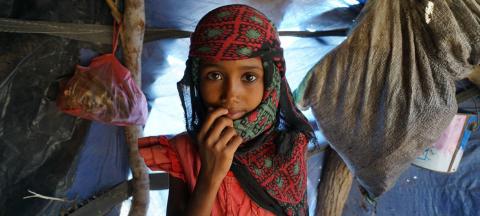 Yemen: catastrophic cholera crisis