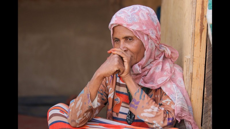 IOM Chief Sounds Alarm as Yemen Marks a Decade of War and Humanitarian Despair