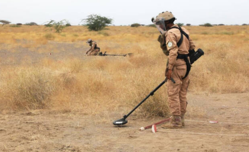 MASAM project clears 1,488 Houthi mines in Yemen