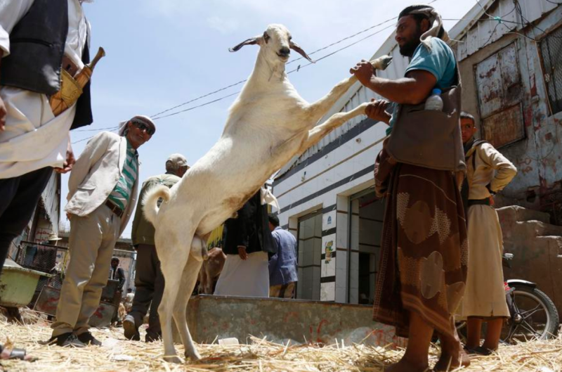 Economic hardship dims Eid al-Adha celebrations for Yemeni people
