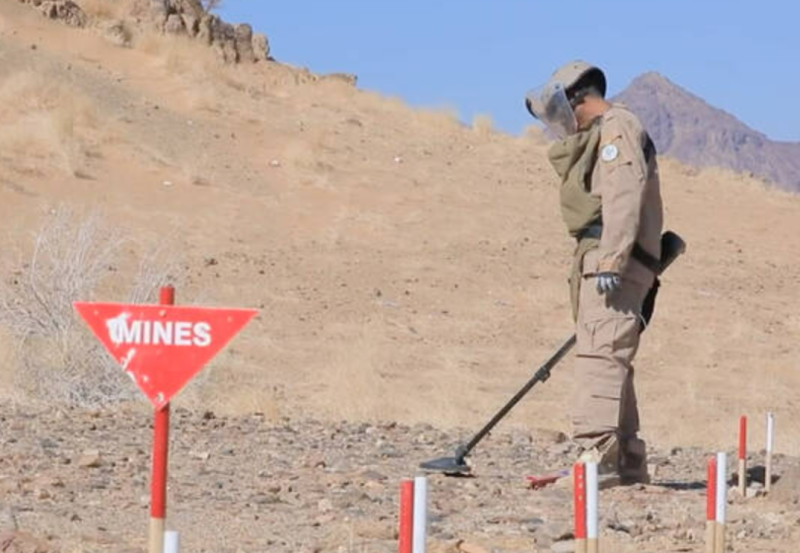 Yemen : MASAM project clears 1,317 Houthi mines