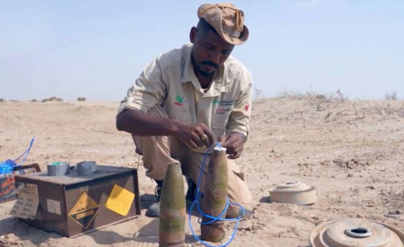 MASAM project clears 1,243 mines in Yemen