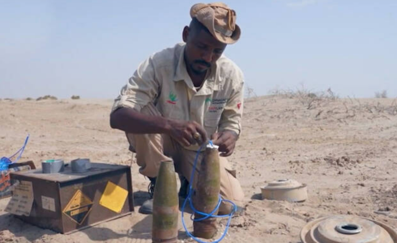 MASAM project clears 1,493 mines in Yemen
