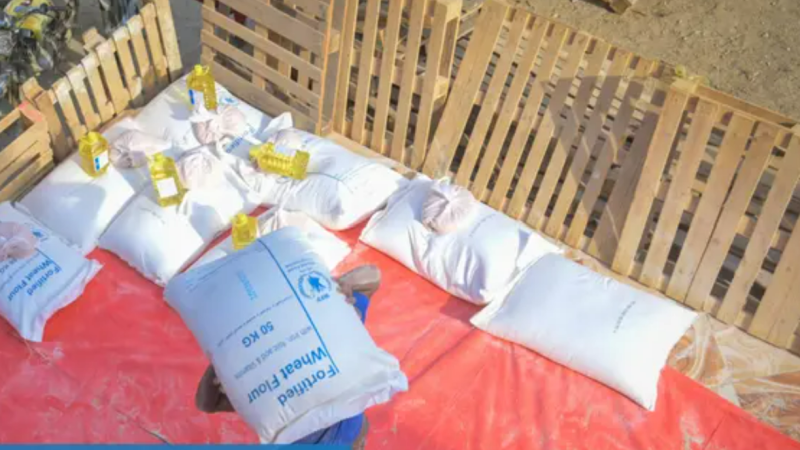 WFP Yemen Food Security Update