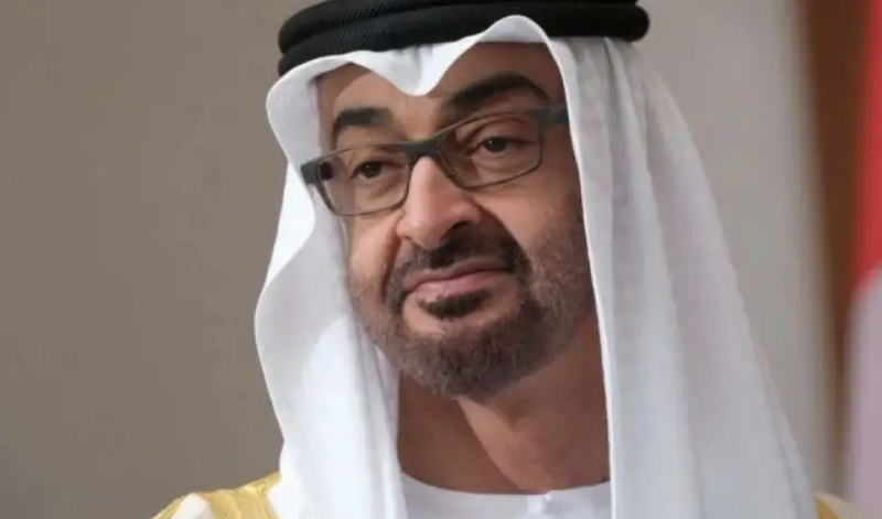 UAE President discusses cooperation with Armenian Prime Minister