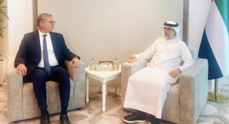 Egypt, UAE Boost Cooperation Across Energy Sector