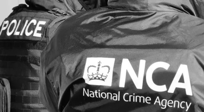 A hacker tied to Yemen Cyber Army gets 20 months in prison