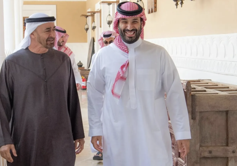 Saudi Crown Prince, UAE President Discuss Regional Developments in Riyadh