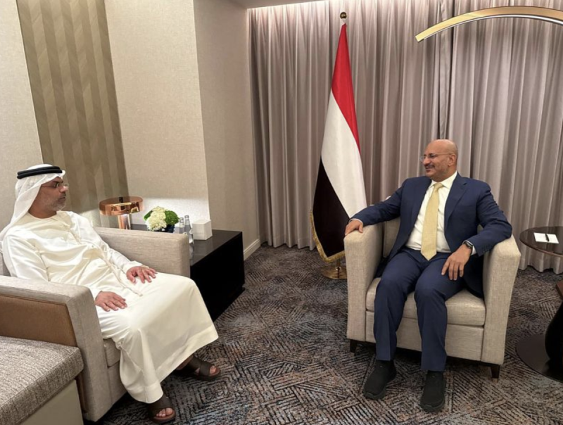 Tariq Saleh and UAE Ambassador Discuss Support for Reforms, Vital Projects in Yemen