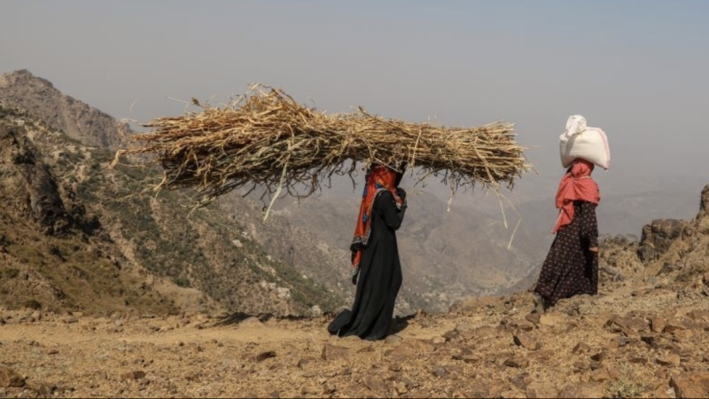 World Bank Report Warns Yemen Is on the Brink of Becoming the Poorest Country Globally