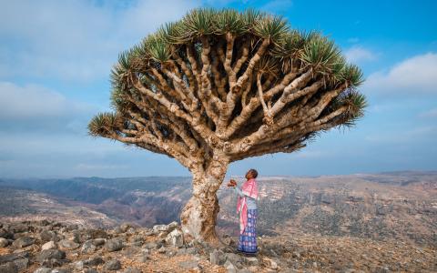 U.N. Geneva conference seeks $2.1B for Yemen humanitarian aid