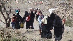 IOM: Over 24,000 People Displaced in Yemen in 2025, Half in Marib